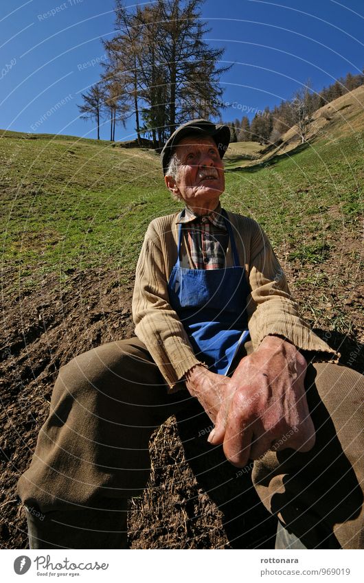 Do n dé sfadius berba Tin fej na palsa. farm work Farm Field Agriculture Forestry Human being Masculine Man Adults Grandfather Hand 1 60 years and older