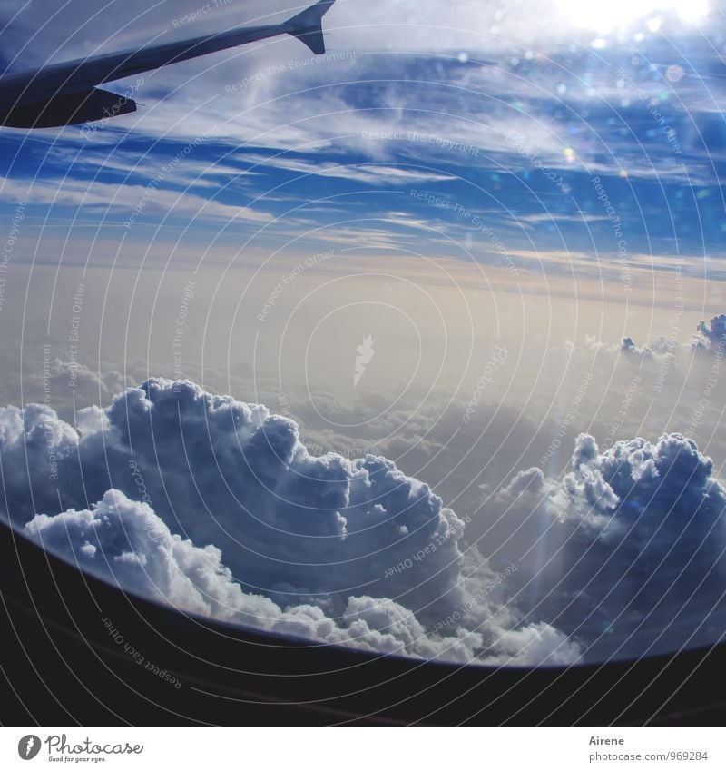 Always forward Vacation & Travel Tourism Far-off places Sky Clouds Storm clouds Sun Aviation Airplane Passenger plane View from the airplane Flying Free Tall