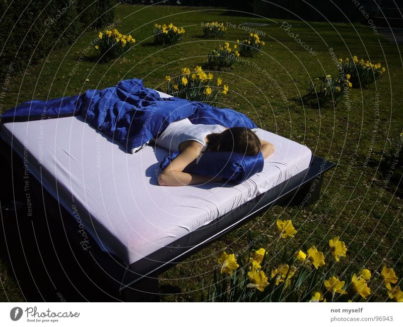 Dreamin' away II Bed Sleep Summer Physics Flower Yellow Green Field Park Warmth Blue Lawn Nature Exterior shot