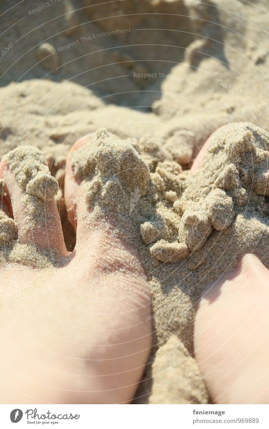 soft sand Body Skin Feet 18 - 30 years Youth (Young adults) Adults Summer Beautiful weather Coast Ocean Island Touch Sandy beach Warmth toes Bury