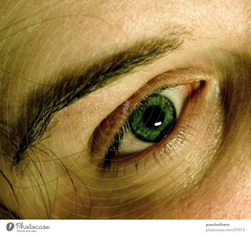 psycho Permeate Eyebrow Soul Earnest Vantage point Insight Concentrate Macro (Extreme close-up) Close-up Feeble Eyes Human being Parts of body Perspective