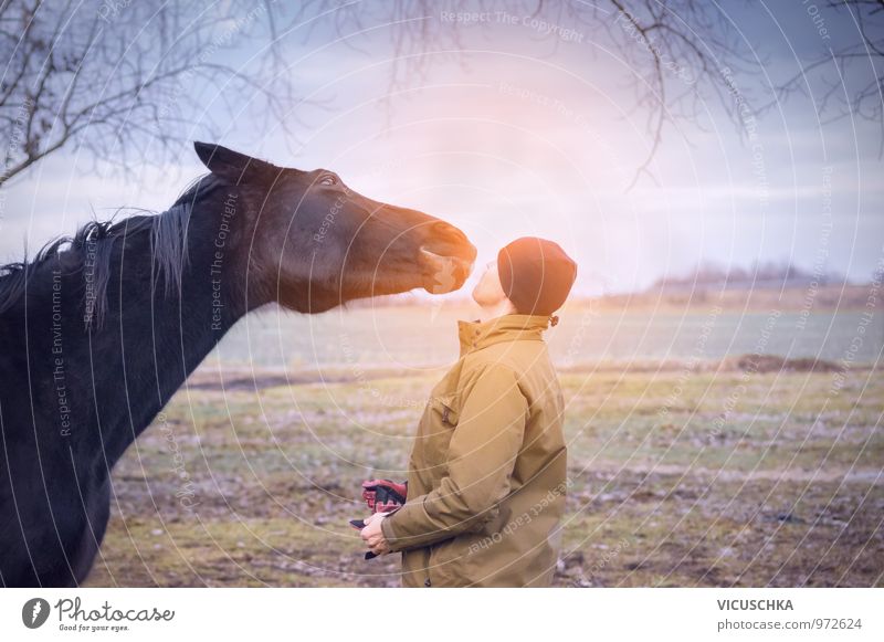 Horse and man greet each other at dawn Lifestyle Leisure and hobbies Human being Masculine Young man Youth (Young adults) 1 30 - 45 years Adults Nature Sky