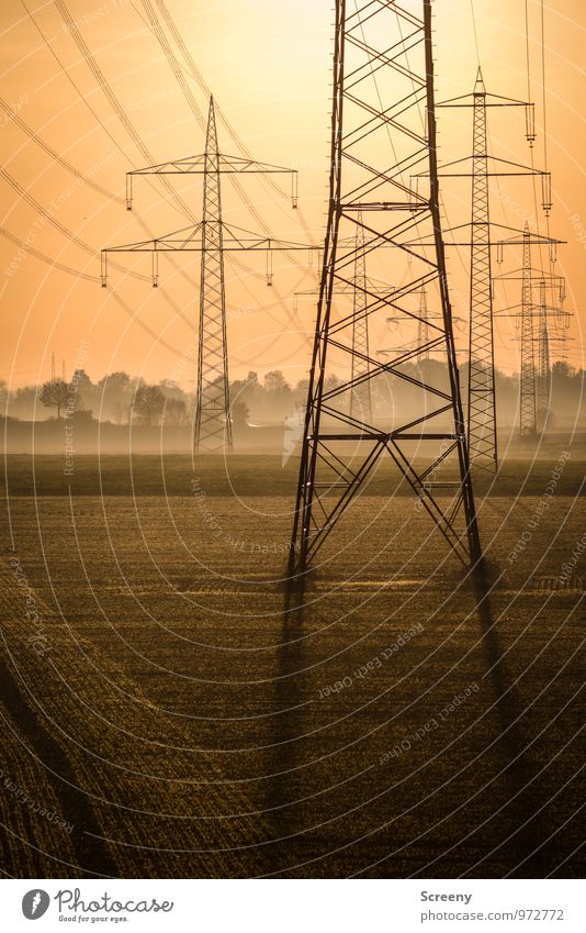 energy carriers Technology Energy industry Electricity Electricity pylon High voltage power line Environment Sky Sun Sunlight Autumn Fog Field Large Stress