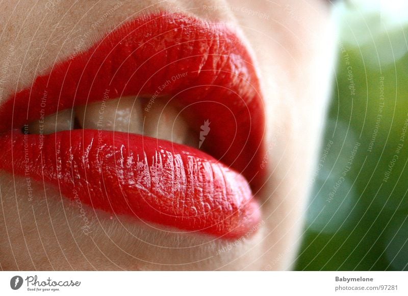 red sensuality Lips Red Kissing Woman Feminine Crunchy Alluring Upper lip Lower lip red lips Mouth Macro (Extreme close-up) Alcohol-fueled Detail Teeth