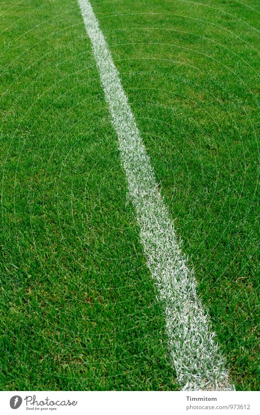 Line! Very clear! Sports Sporting Complex Football pitch Grass surface Esthetic Simple naturally Green White Emotions Considerable Structures and shapes