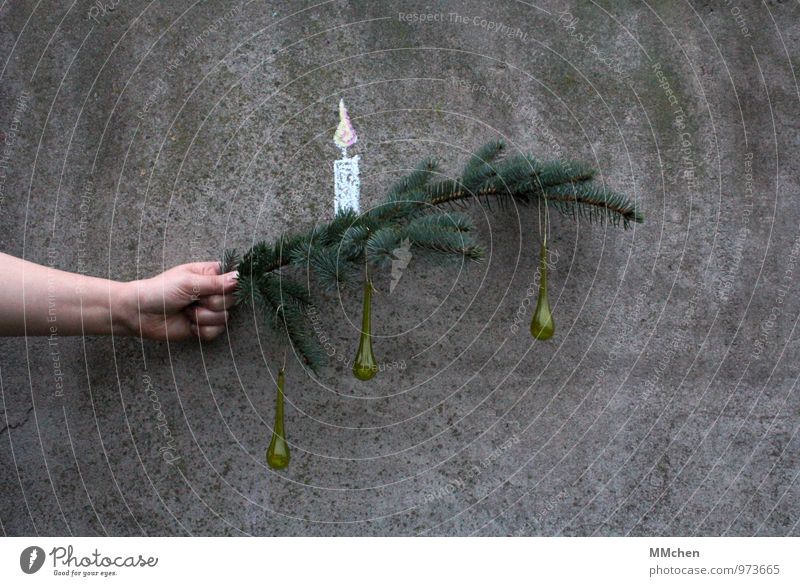 Advent, Advent Decoration Feasts & Celebrations Christmas & Advent Hand Branch Twig Twigs and branches Wall (barrier) Wall (building) Concrete To hold on Hang