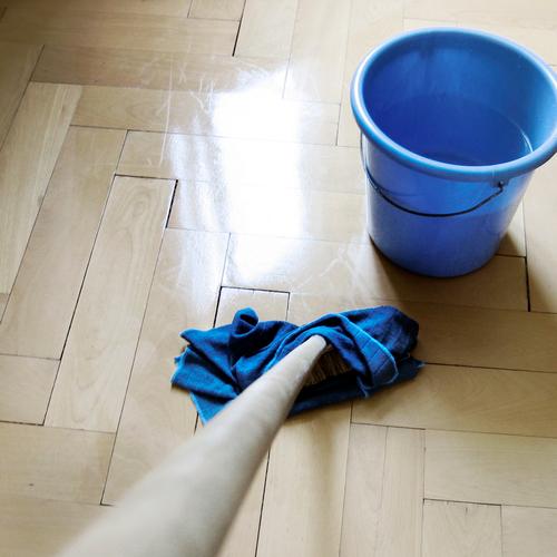 The little bit of household Parquet floor Sweep Bucket Wipe Cleaning Pure Broom Spring cleaning Reflection Wet Damp Wood Cleaner Dance floor Seam