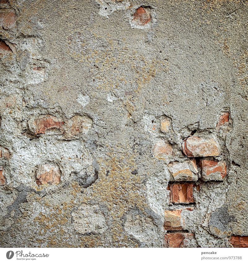 humidity | risks and side effects Wall (barrier) Wall (building) Old Authentic Uniqueness Broken Gray Red Decline Transience Brick Plaster Damp Crumbled