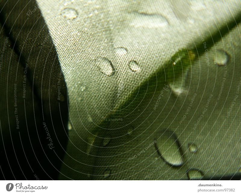 Pluie Rain Damp Wet Tent Covers (Construction) Watertight Transience Fluid Thread Light Macro (Extreme close-up) Close-up Beautiful Drops of water raindrops