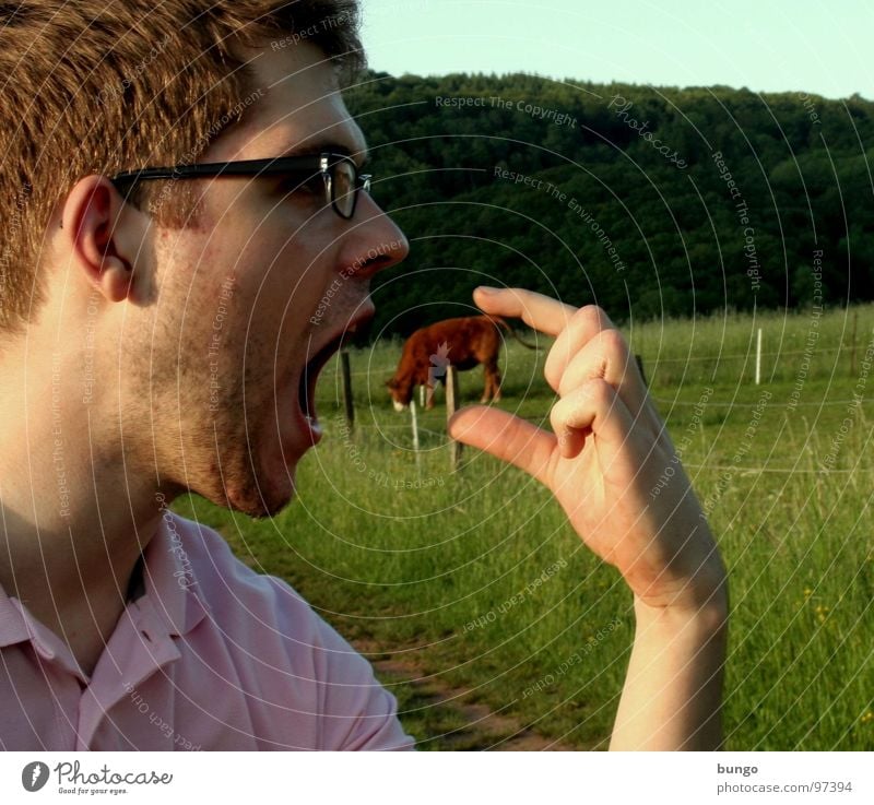 Marc loses the third dimension Hand Portrait photograph Man Eyeglasses Cow Cattle Funny Three-dimensional Dimension Meadow To feed Silhouette Nutrition Fingers
