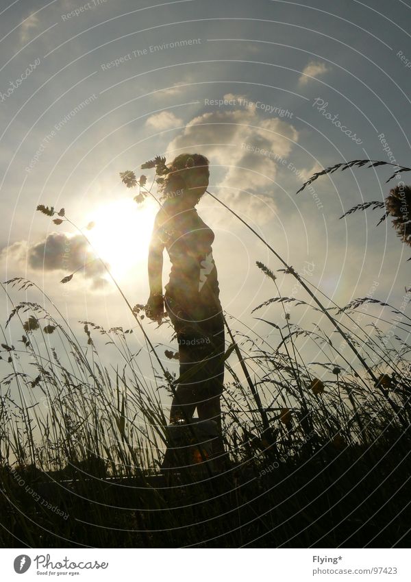 From the mole's point of view Summer evening Woman Silhouette Mole Grass Clouds Black Blow Large Worm's-eye view Bird's-eye view Human being Sun Self portrait