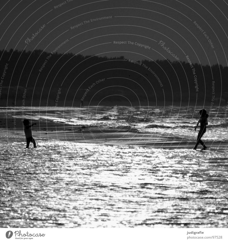 On the beach Lake Beach Ocean 2 Playing Light Back-light Evening sun Coast Black Black & white photo Baltic Sea Human being Dance Swimming & Bathing Walking