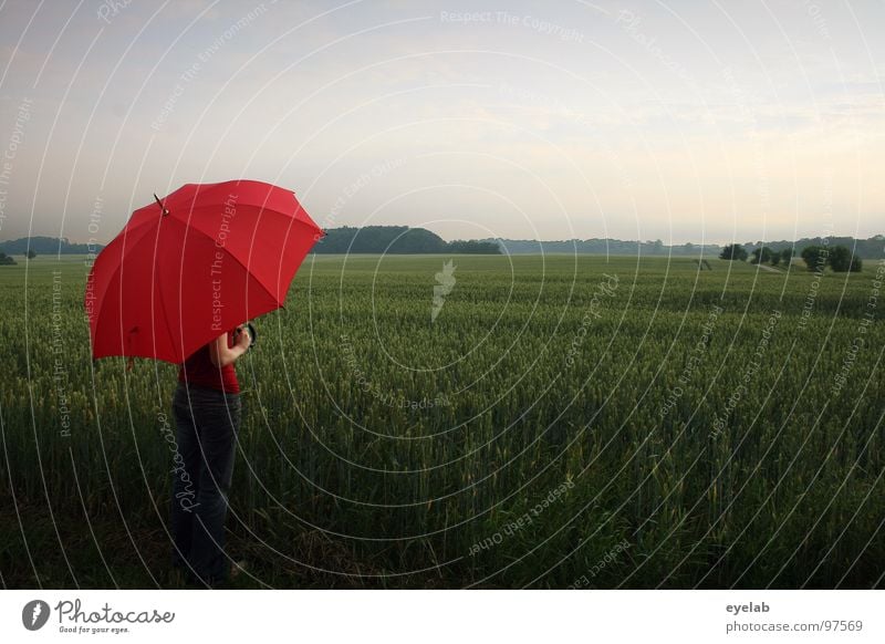 If there's thunderstorms in June, the grain gets fatter too. Field Sunshade Umbrella Red Green Spring Summer Rain Stand To enjoy Country life Romance Lovely