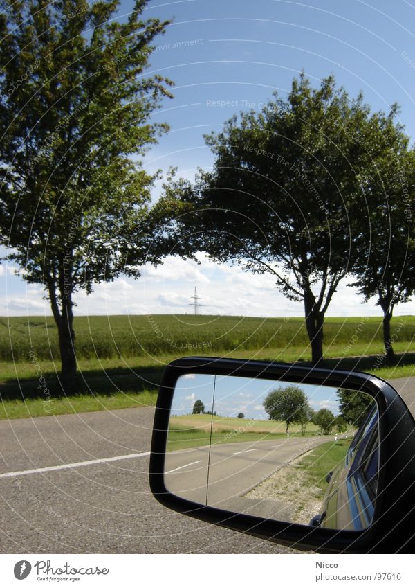 retrospect Tree Green Leaf Apple tree Cherry Bad weather Far-off places Horizon Clouds White Beautiful Variable Hot Asphalt Tar Pavement Mirror Rear view mirror