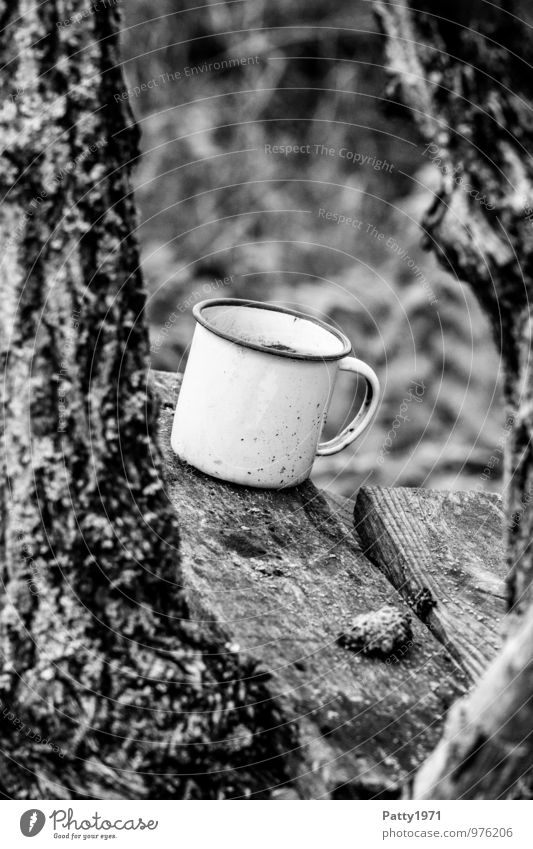 enamel mug Cup Mug Enamel Plant Tree Tree bark tin cup Wooden board Old Dirty Loneliness Forget Decline Transience Black & white photo Exterior shot Deserted