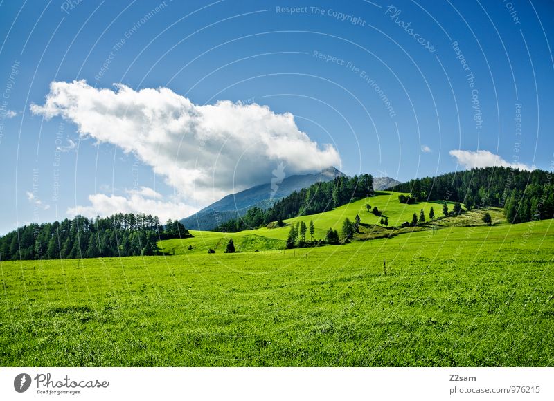 South Tyrolean country Environment Nature Landscape Sky Clouds Summer Beautiful weather Grass Bushes Meadow Alps Mountain Esthetic Sustainability Natural Blue