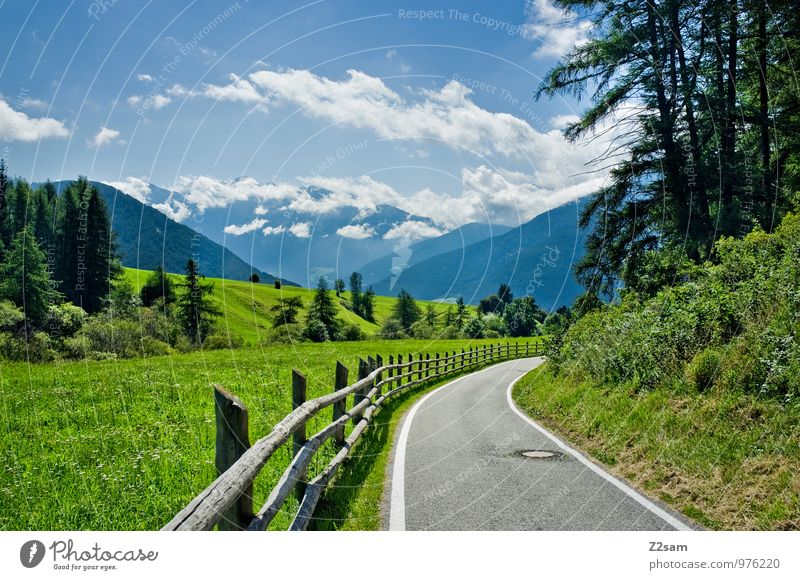 departure Environment Nature Landscape Sky Clouds Summer Beautiful weather Tree Bushes Meadow Alps Mountain Traffic infrastructure Street Sustainability Natural