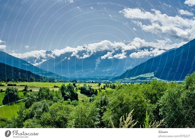 Vinachgau Environment Nature Landscape Sky Clouds Summer Beautiful weather Tree Bushes Meadow Alps Mountain Far-off places Sustainability Natural Blue Green