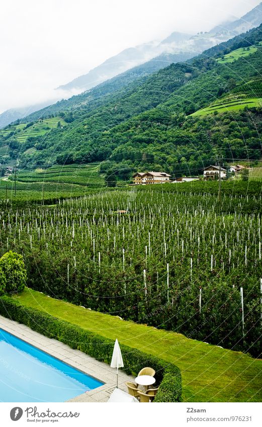 Good prospects Landscape Cloudless sky Storm clouds Bad weather Fog Tree Bushes Alps Mountain Tall Cold Sustainability Natural Green South Tyrol Vineyard Sowing
