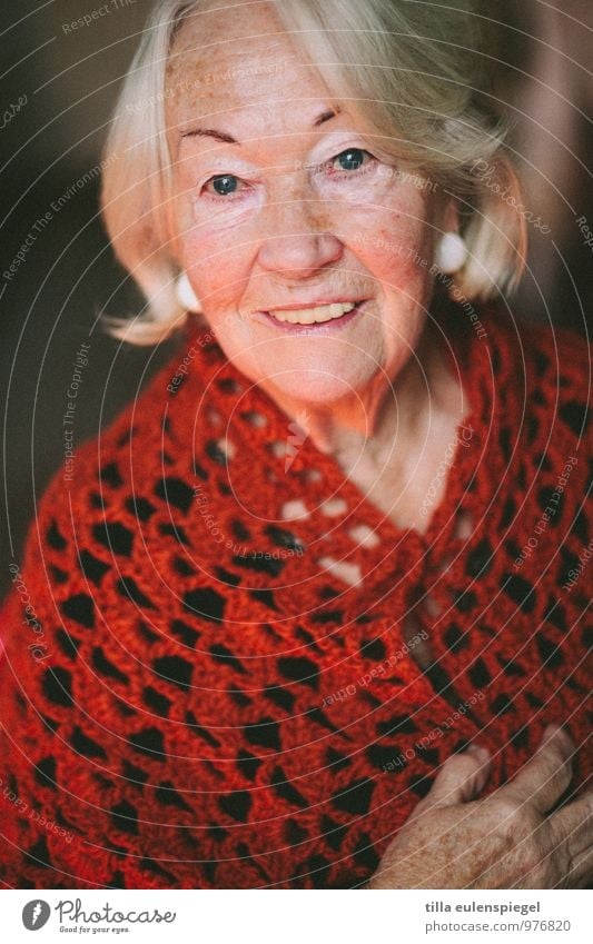 77 Feminine Female senior Woman Grandmother Senior citizen 1 Human being 60 years and older Knitted sweater Blonde White-haired Old Looking Friendliness