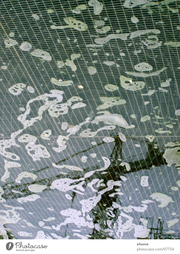 sunken in the crane Crane Foam Grating Gray Black Pond Navigation Water spieglung Illusion Blur Blue elson