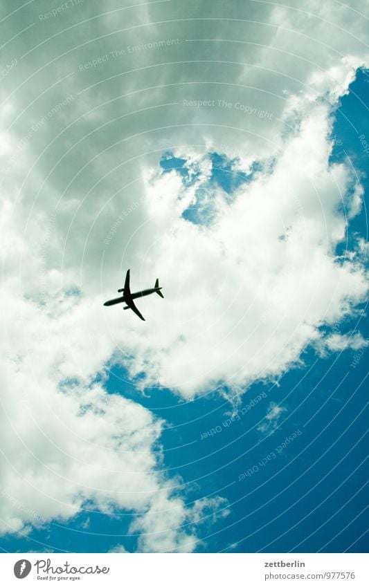airplane Airplane Flying Aviation Floating Above Sky Clouds Summer Sun Vacation & Travel Travel photography Logistics Passenger traffic Worm's-eye view Light