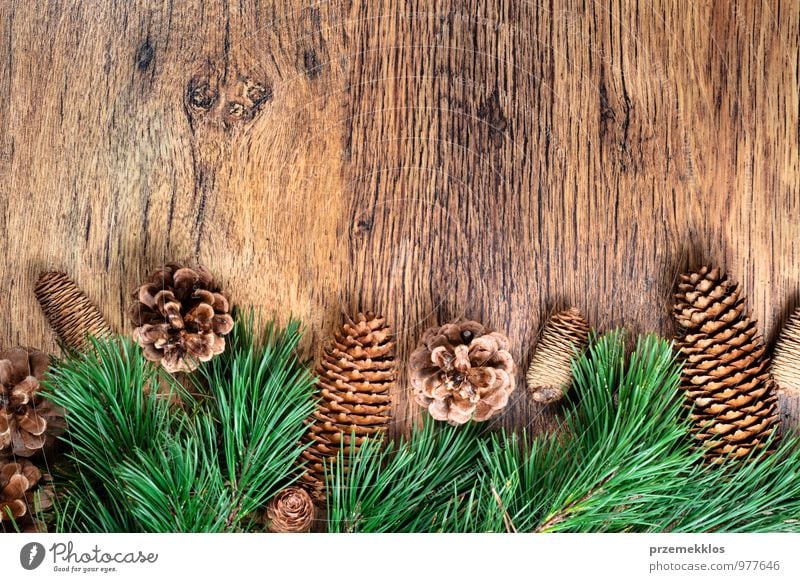 Christmas decoration Winter Decoration Wood Ornament Authentic Natural Green Tradition Copy Space December Horizontal Pine Rustic Seasons Colour photo Deserted