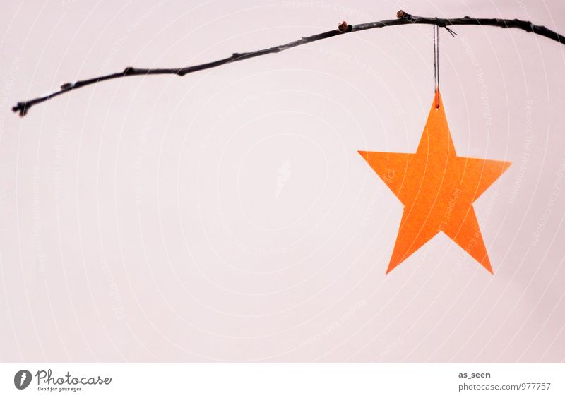 Star in Orange Lifestyle Style Harmonious Calm Flat (apartment) Decoration Christmas & Advent Winter Twig Branch Paper Star (Symbol) Hang Illuminate Esthetic