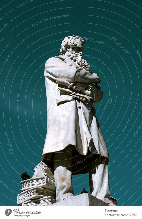 the bearded one Statue White Green Coat Facial hair Professor Interlock Book Pedestal Monument Hair and hairstyles Bird Bird's-eye view Smart Reading Italy