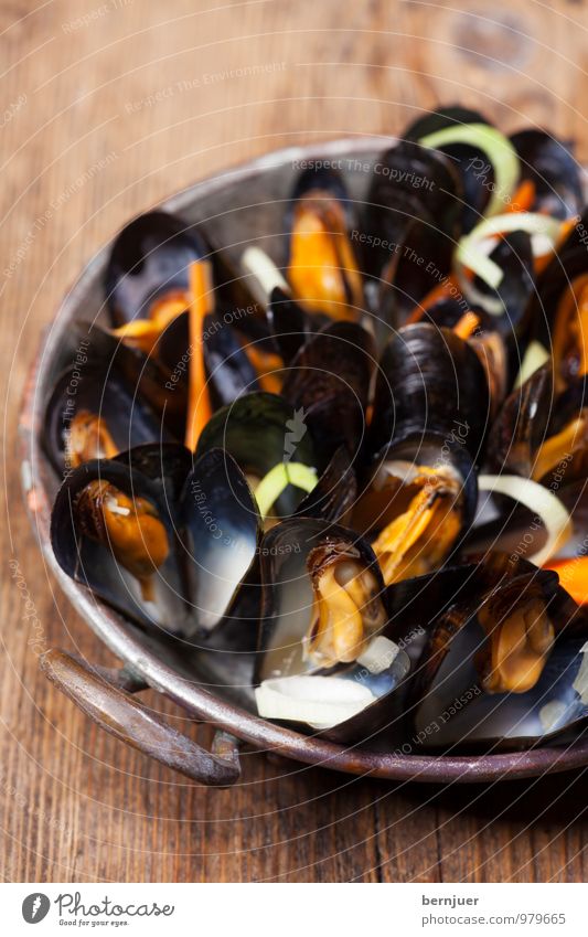 winter meal Food Seafood Dinner Organic produce Slow food Bowl Cheap Good Mussel Copper Pan copper pan Carrot Cooking Mussel shell Deserted Rustic