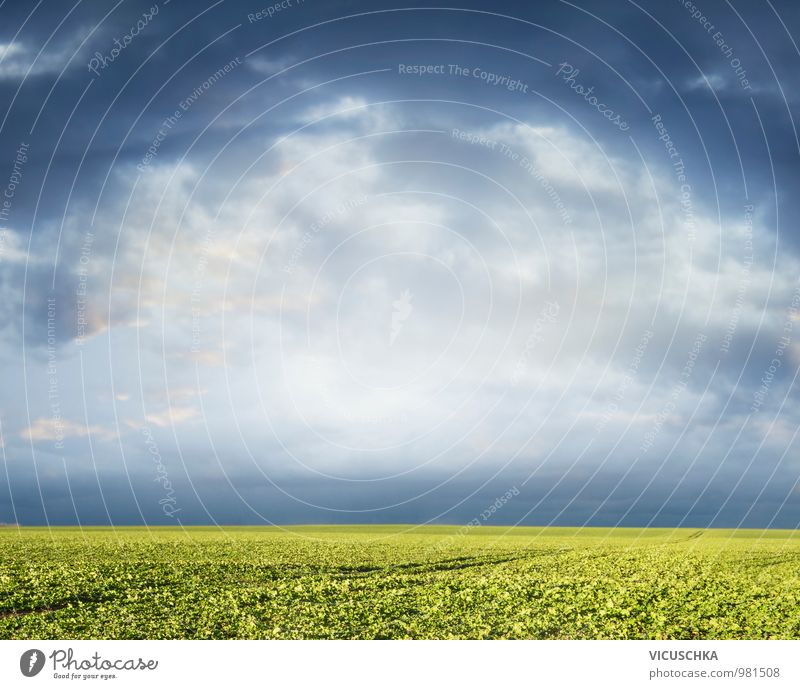 Green field and cloudy sky Design Summer Nature Plant Sky Clouds Horizon Spring Autumn Thunder and lightning Agricultural crop Meadow Field Jump