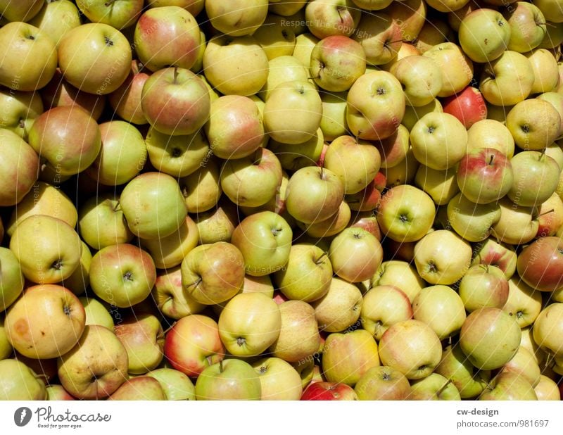 apple harvest Environment Nature Summer Shopping Healthy Glittering Natural Juicy Sweet Multicoloured Yellow Gold Green Colour Ease Arrangement Transience Apple