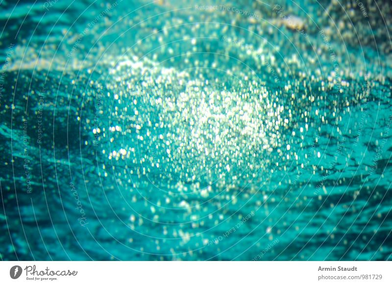 bubbles Aquatics Nature Air Water Drops of water Ocean Illuminate Swimming & Bathing Threat Dark Fluid Maritime Wet Natural Blue Turquoise Moody Fear Adventure