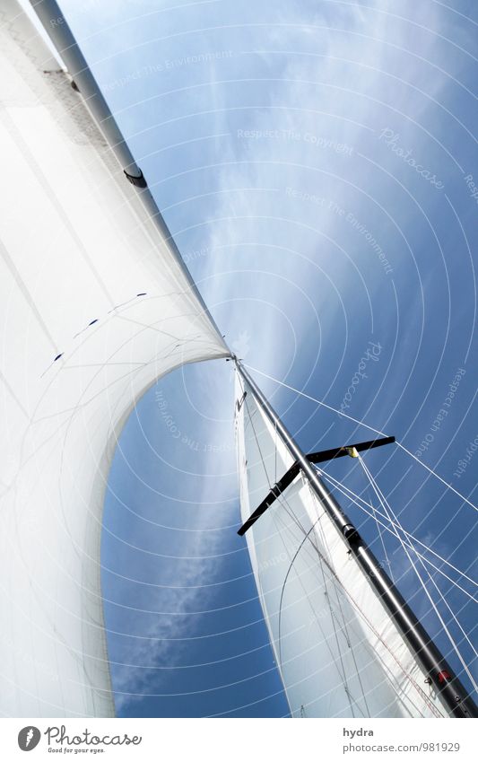 Sails | Northwest to Southeast Vacation & Travel Freedom Aquatics Sailing Sailing trip Mast Air Sky Clouds Summer Beautiful weather Wind Sport boats Yacht