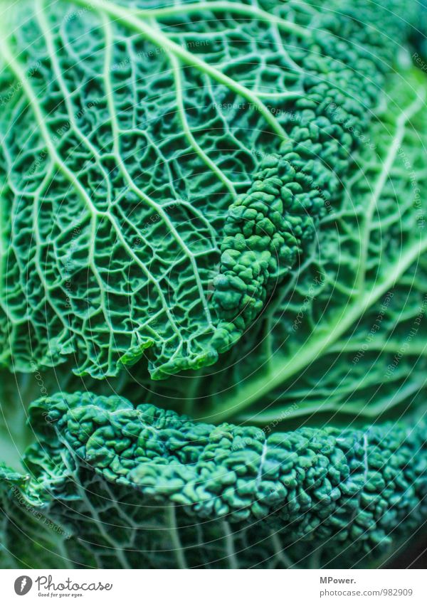 Savoy cabbage II Food Nutrition Organic produce Vegetarian diet Delicious Vegetable Healthy Eating Vessel Structures and shapes Green Vitamin-rich Vegan diet