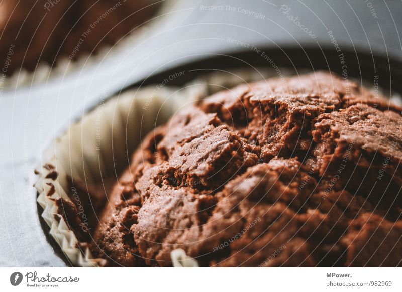 macromuffin Food Nutrition Fast food Bowl 1 Human being Beautiful Muffin Baking tin Dough Chocolate cake Fresh Candy Delicious Appetite Colour photo