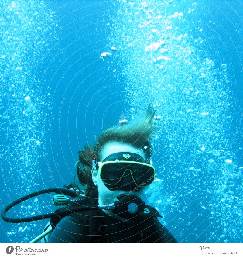 Diver with Bubbles II Ocean Lake Snorkeling Air Oxygen Coral Aquatics Sports Playing divergent bubbles water sea blue underwater snorkel Tank wetsuit mask