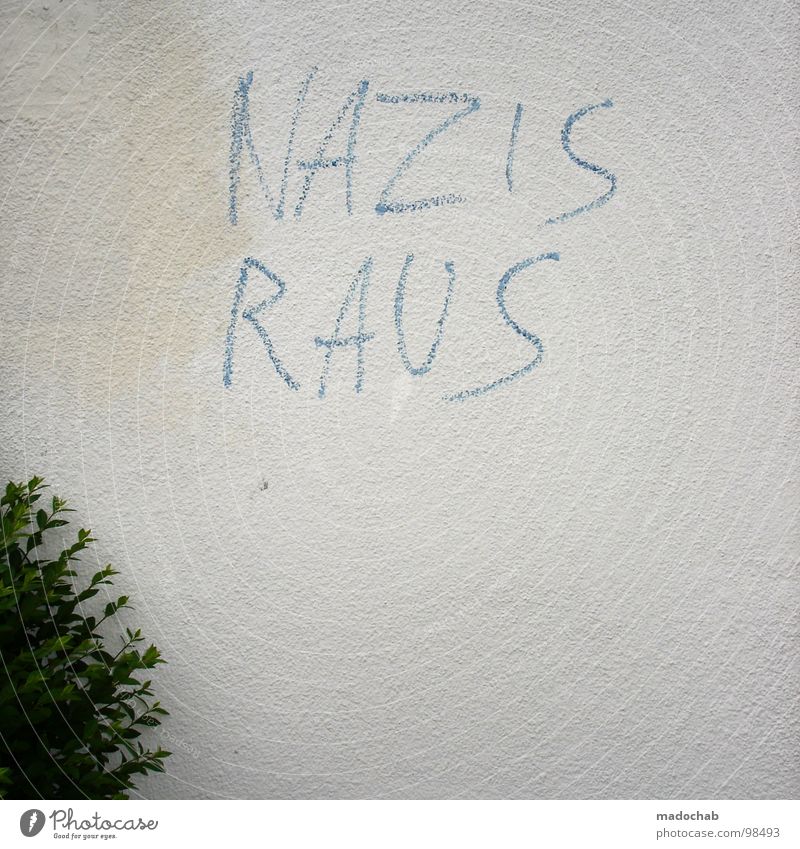 FORM FOLLOWS FUNCTION Word Fascist Anti-fascism Vandalism Daub Letters (alphabet) Figure of speech Slogan Politics and state Left Illegal Bushes Wall (building)