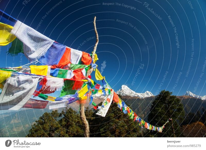 may the wind horse Nature Landscape Cloudless sky Peak Snowcapped peak Esthetic Blue Unwavering Interest Himalayas Flag Flagpole Prayer flags Annapurna Mountain