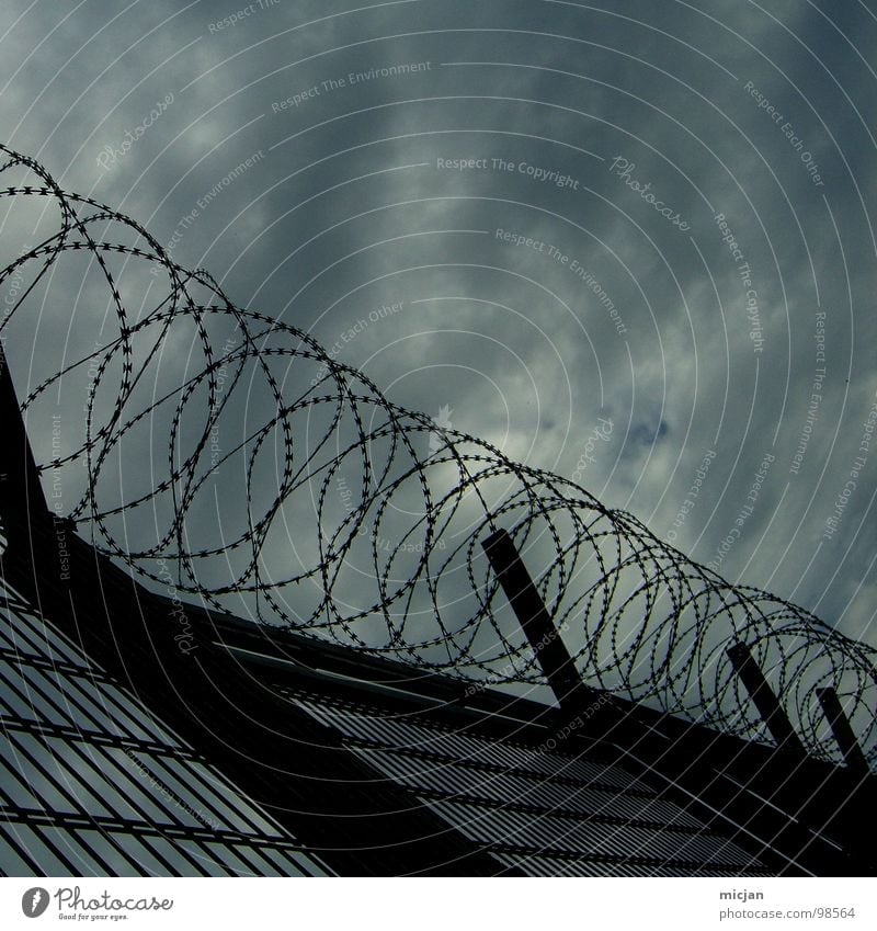 insulation Fence Barbed wire Wire Iron Clouds Spiral Captured Closed Barrier Insulation Gloomy Adorned Loneliness Fear Criminal Criminality Flee Grief Dark