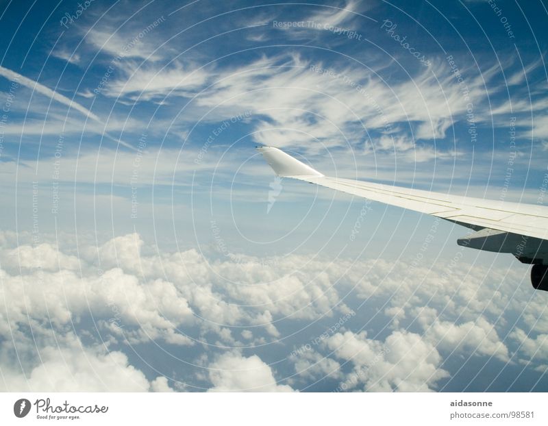 heaven's flight Clouds Airplane Summer White Sky Above Aviation Blue