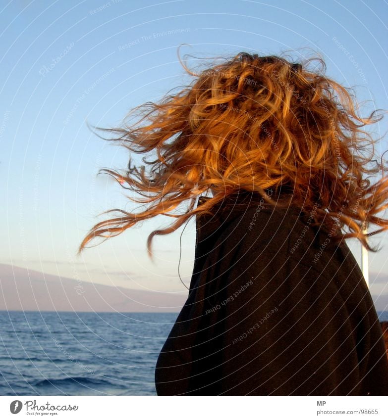 sea lion Rotation Woman Ocean Beast Hair and hairstyles Wind Head Swirl Water Curl