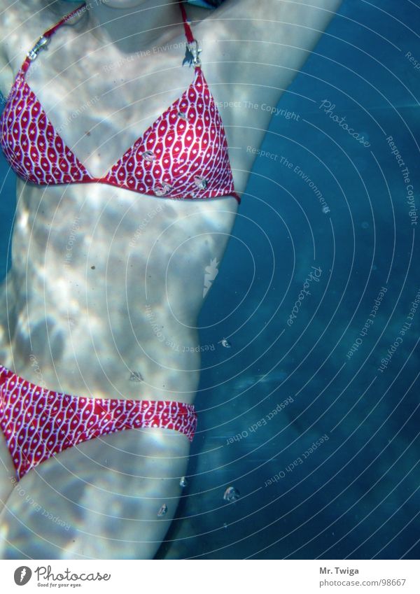 convertible pretend toast bikini Dive Woman Bikini - a Royalty Free Stock Photo from Photocase