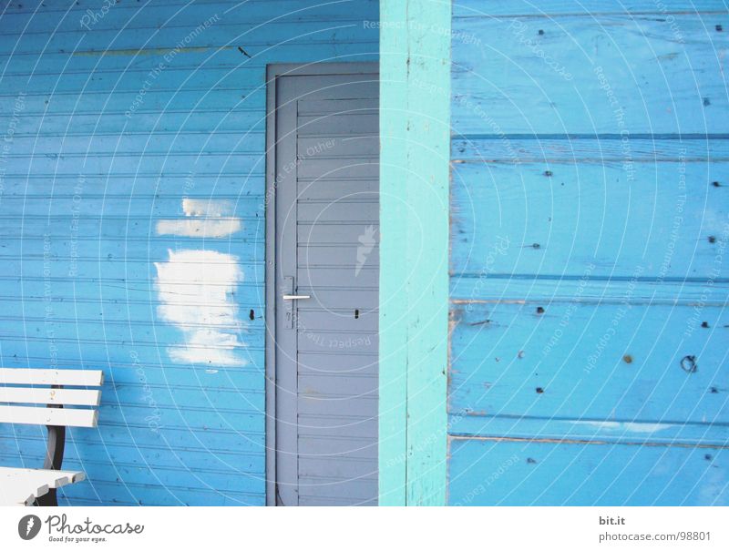BLUE, BLUE, BLUE is all I have Wooden house Wooden hut Light blue White Wooden bench Patch of colour Redecorate Redevelop Paintwork Blue wood Scandinavia