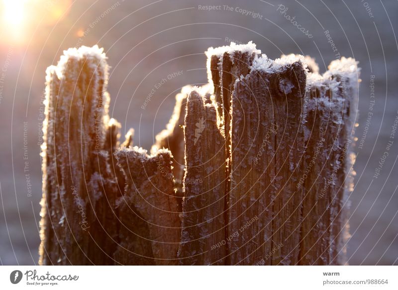 Alter bereifter Zaunpfahl im Gegenlicht Sunlight Winter Ice Frost Wood Simple Serene Colour photo Exterior shot Close-up Deserted Morning Light Contrast