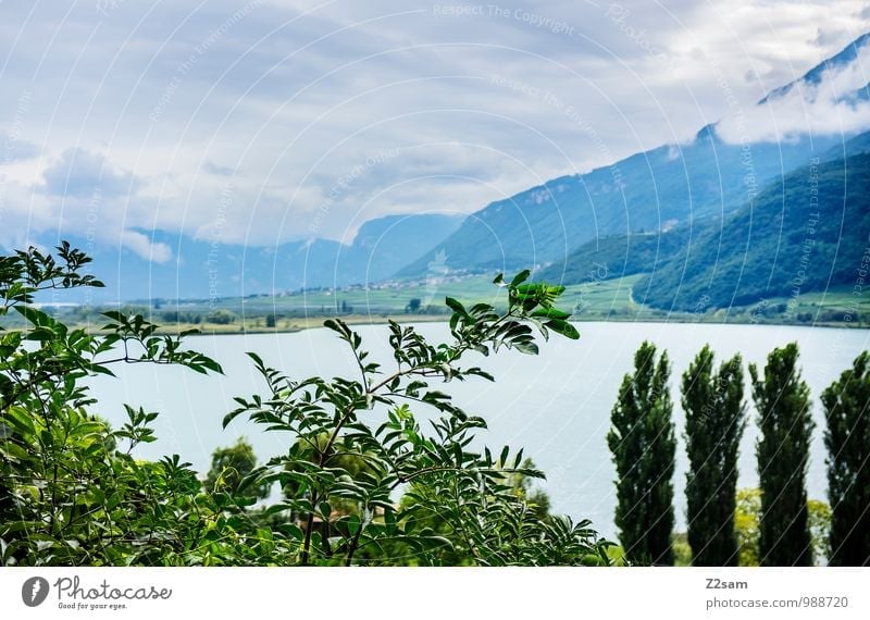 Lake Kaltern Wellness Relaxation Calm Vacation & Travel Summer Summer vacation Environment Nature Landscape Sky Storm clouds Weather Tree Bushes Alps Mountain