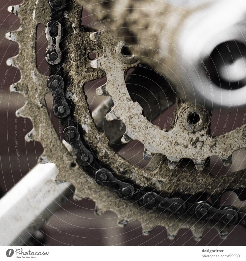 offroad 2 Bicycle Territory Footpath Mud Inject Pedal Fat Funsport moutainbike cross Dirty Frame chainring Gearwheel Chain Oil Oily Joy Exterior shot