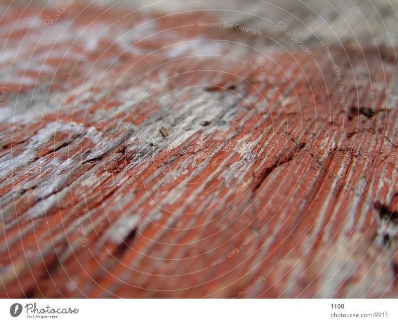 macro Wood Near Red Things Macro (Extreme close-up)