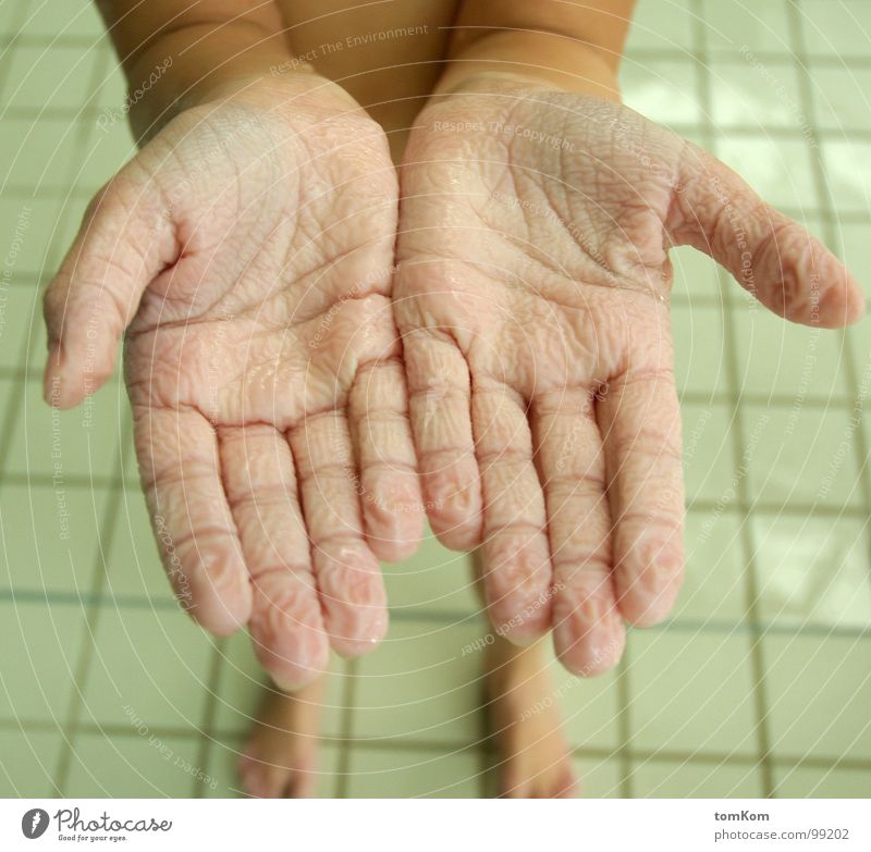 shriveled hands Hand Wrinkles Dried up Swimming pool Leisure and hobbies wrinkle Water Skin Swimming & Bathing
