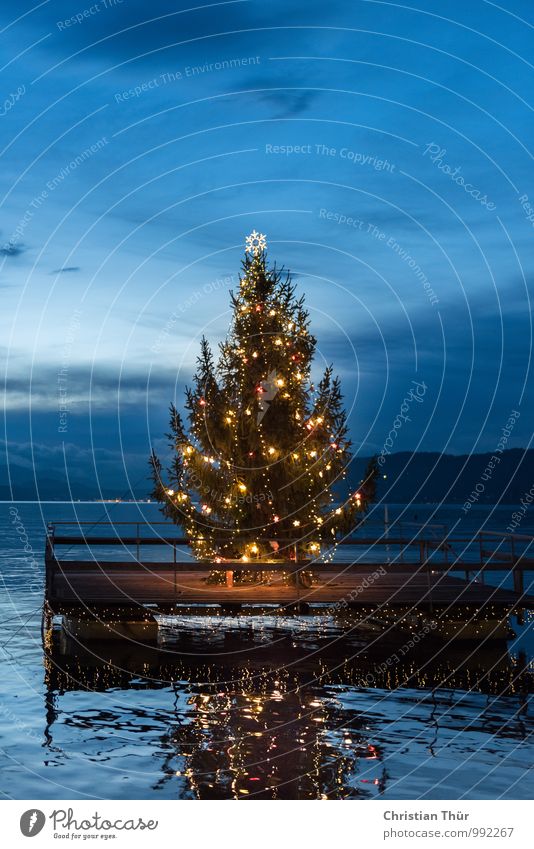 Christmas tree at Lake Wörthersee Winter Mountain Christmas & Advent Environment Nature Water Clouds Beautiful weather Lakeside Relaxation Feasts & Celebrations